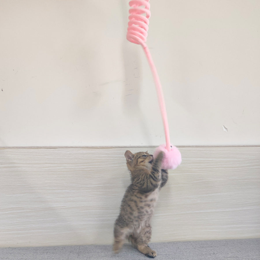 Suction Cup Spring Toy for Cats – Fluffy Ball or Bell