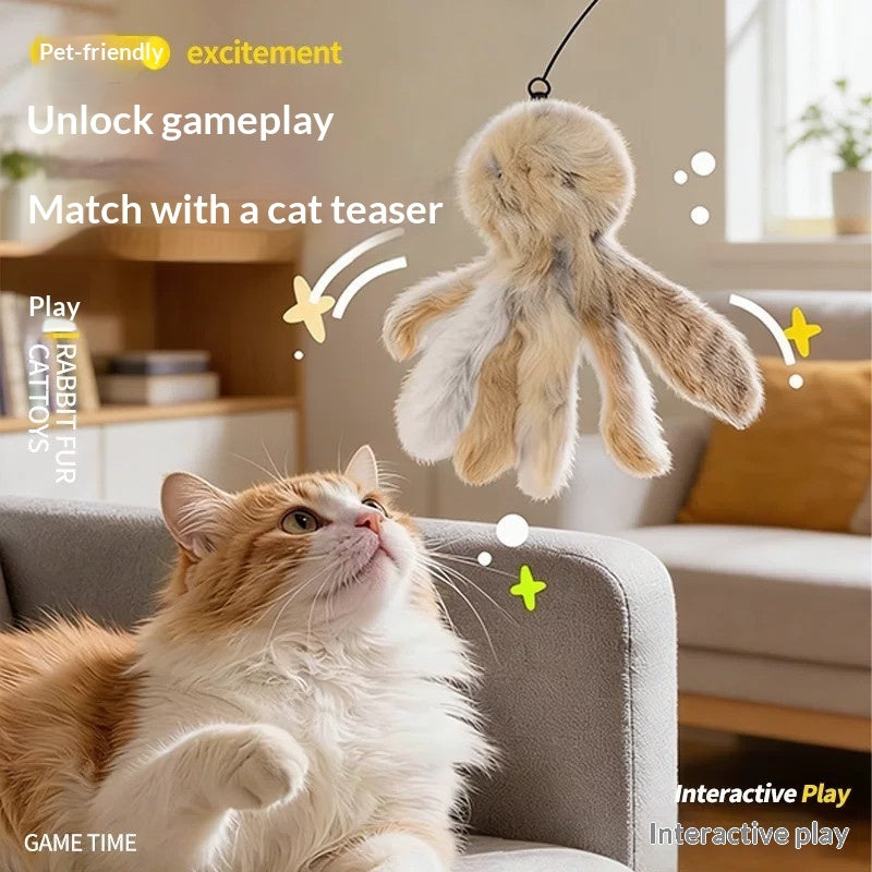 Cat playing with the fluffy octopus toy
