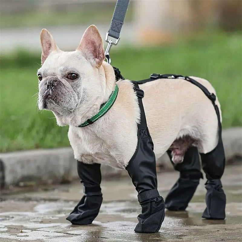 Waterproof Dog Shoes – Breathable Paw Protectors, XS–XXL