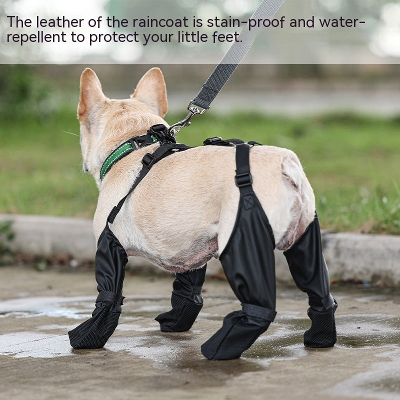 Waterproof Dog Shoes – Breathable Paw Protectors, XS–XXL