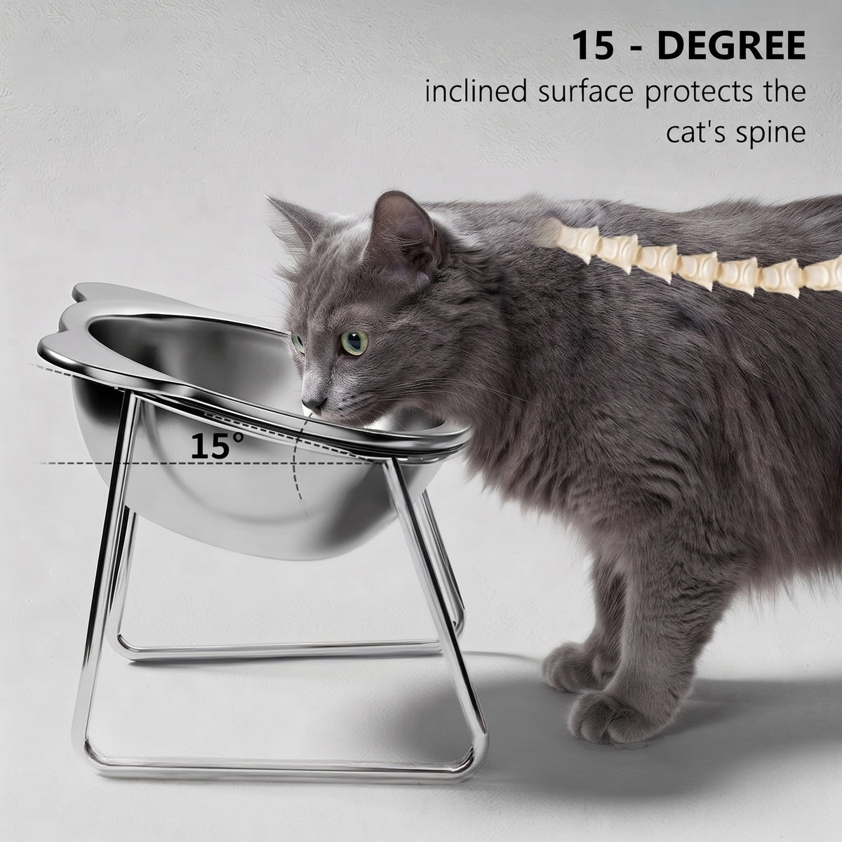 Stainless Steel Raised Cat Bowl – 15° Tilt