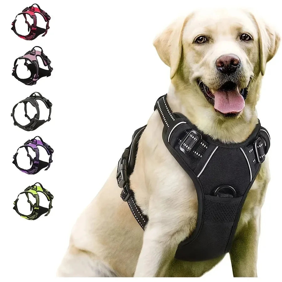 Leather Collar, Harness & Leash Set