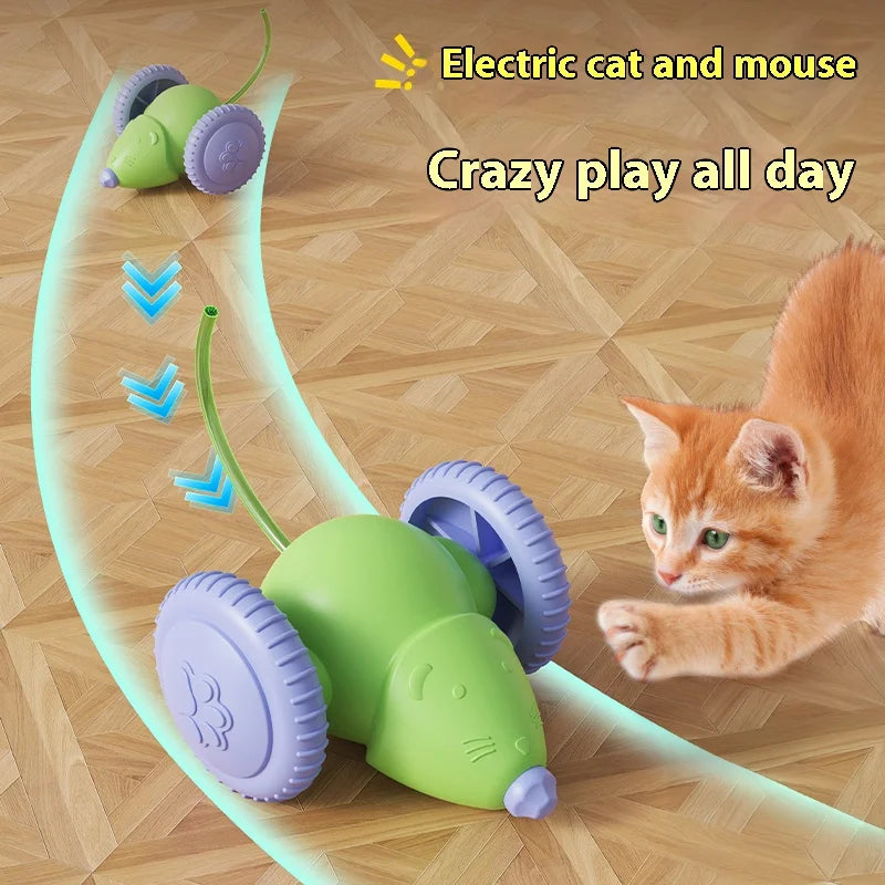 Rechargeable Mouse Car Cat Toy