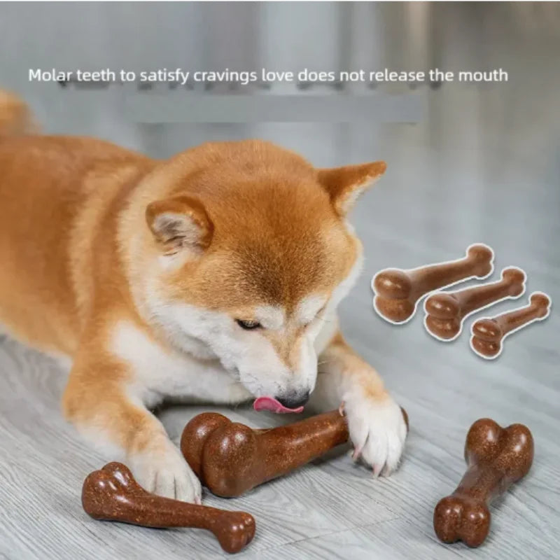 Tough Dog Bone Chew Toy