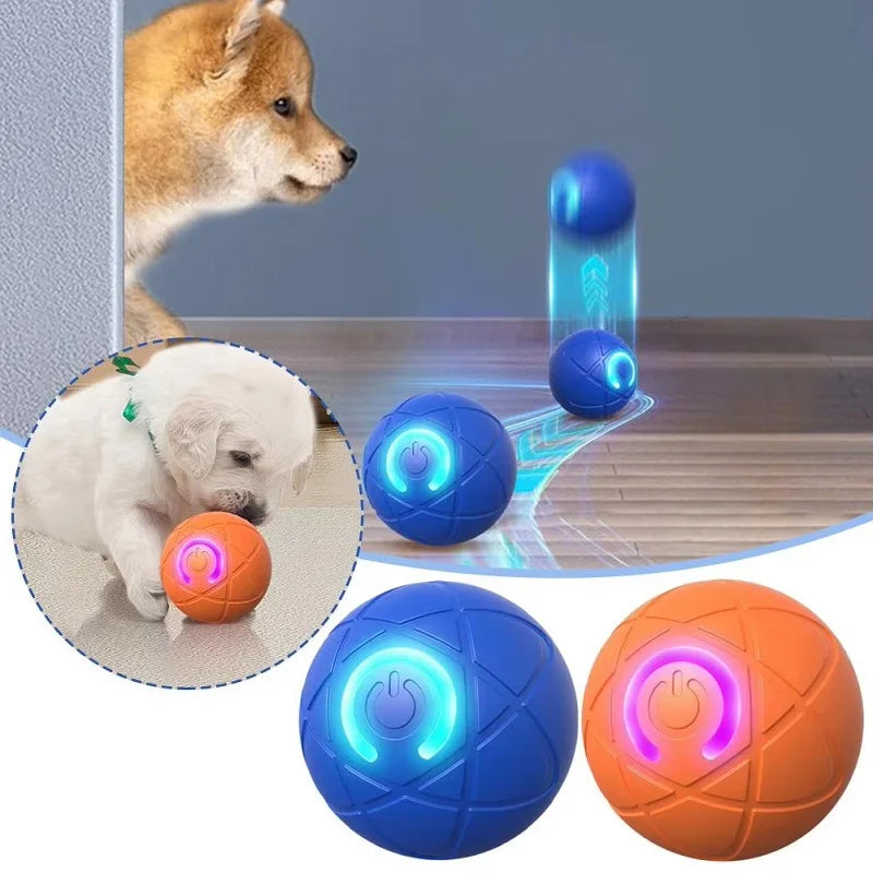 Auto-Moving Dog Ball – 2 Play Modes