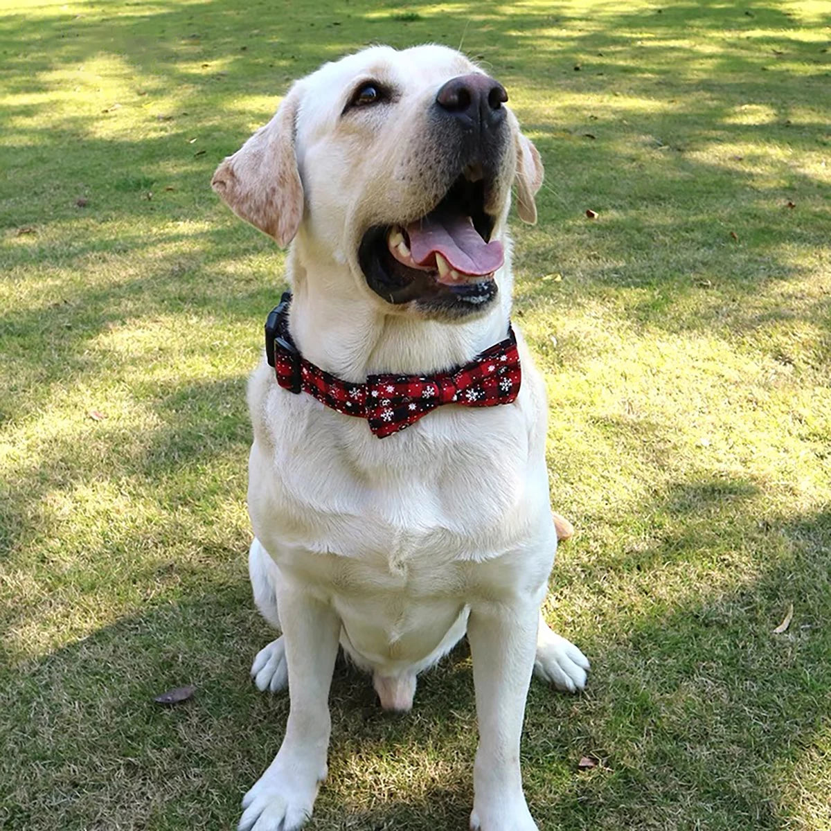 Christmas Plaid Dog Collar with Bow Tie