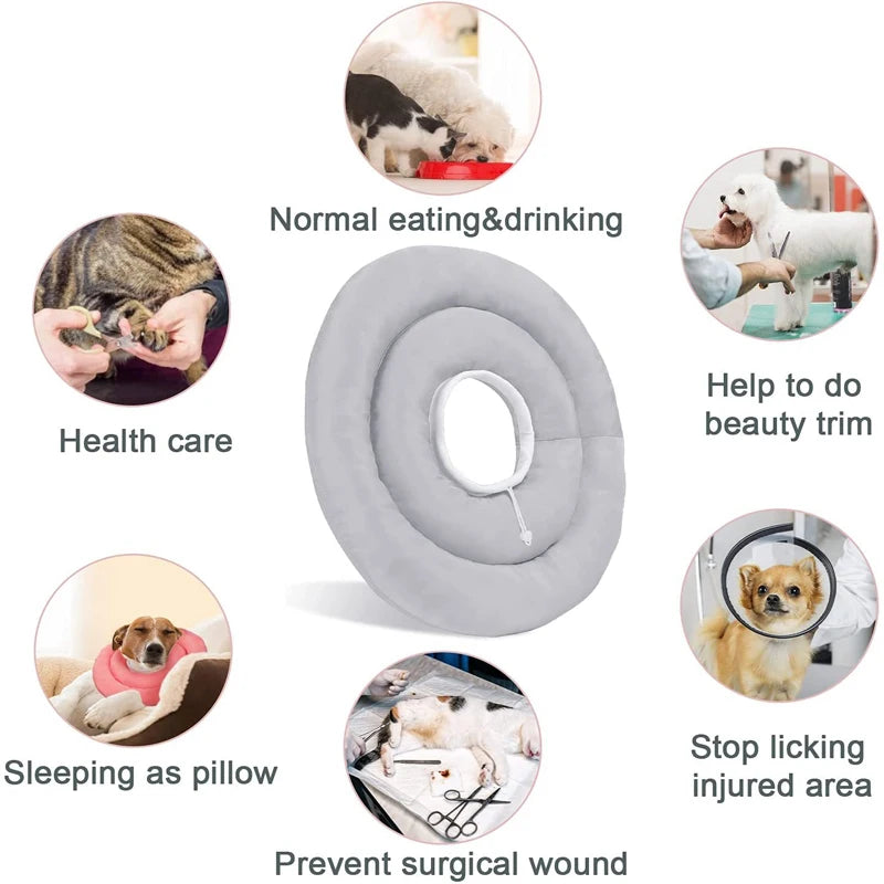 Adjustable Recovery Cone for Dogs (Elizabethan Collar)