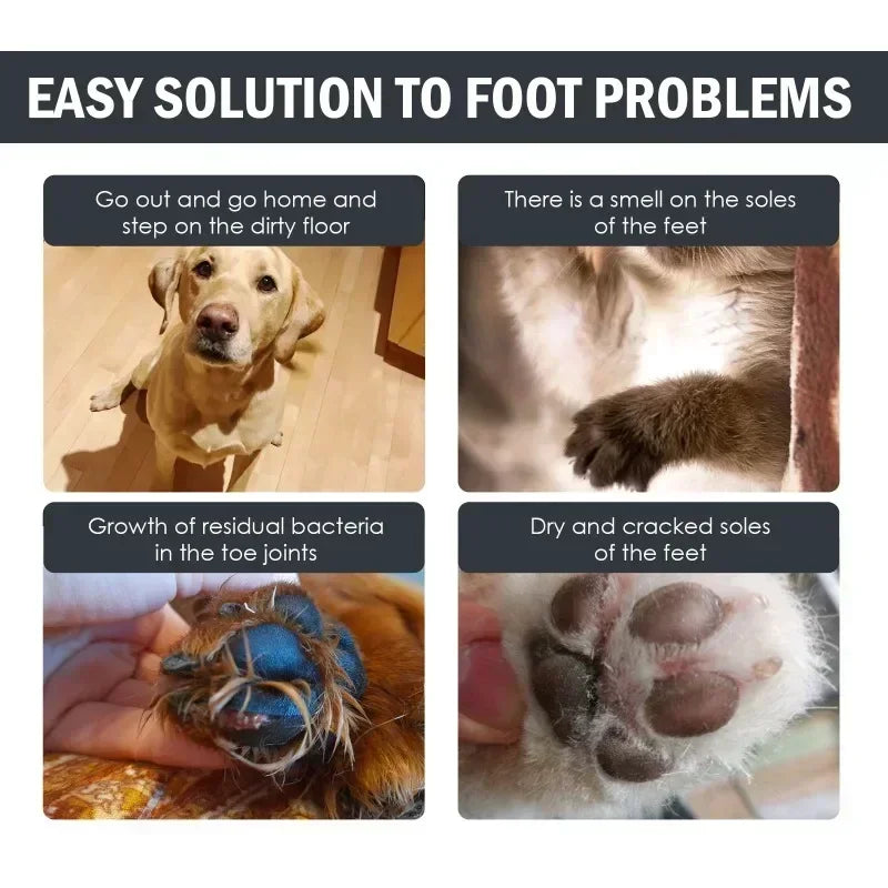 No-Rinse Paw Foam Cleaner (100ml)