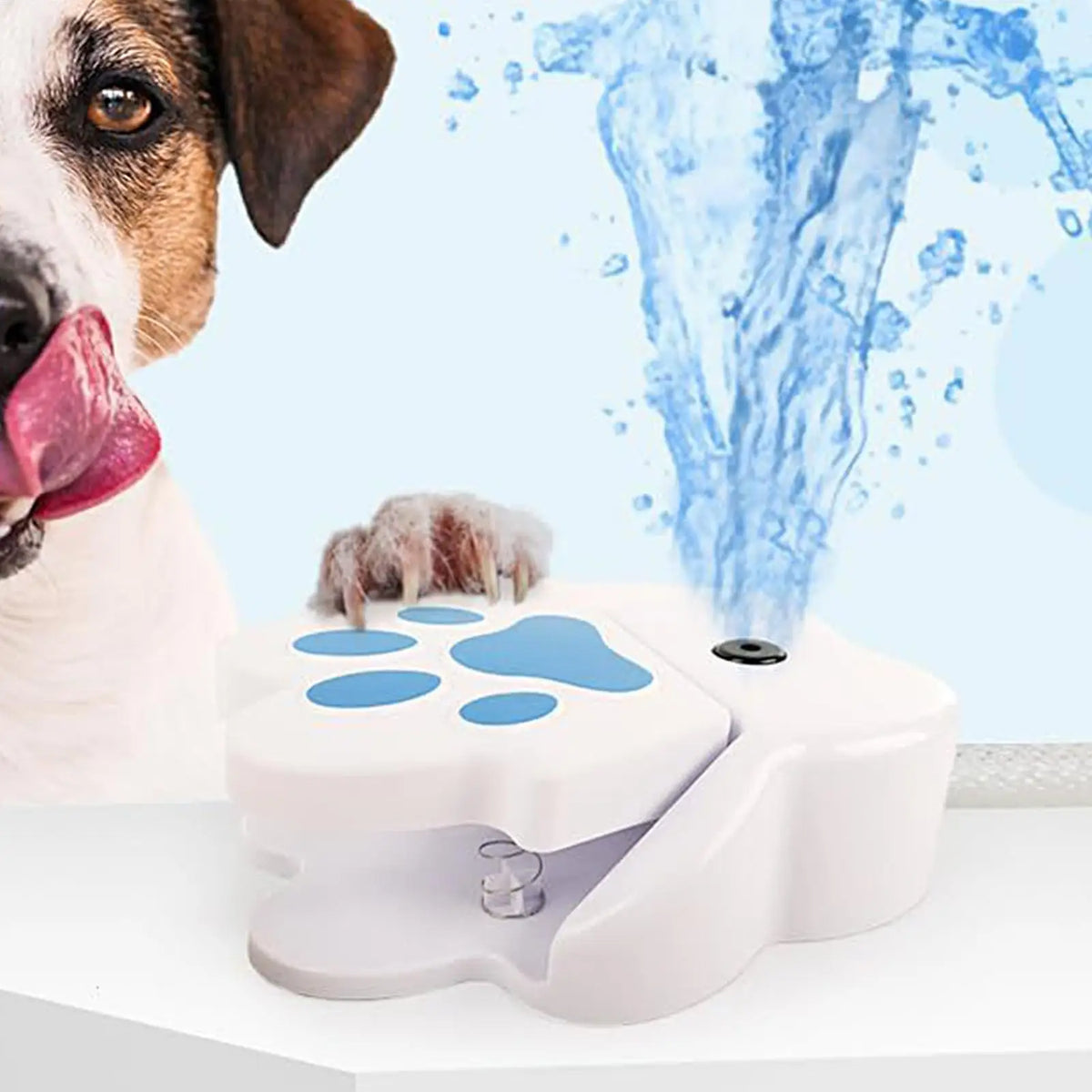 Paw-Activated Outdoor Dog Water Fountain