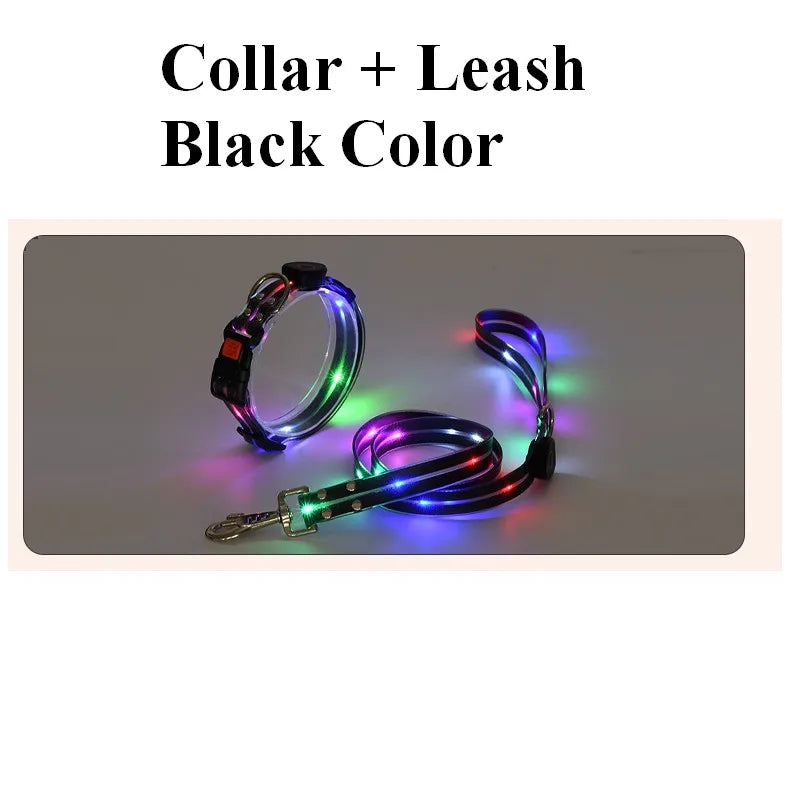 LED Light-Up Dog Leash – USB Rechargeable