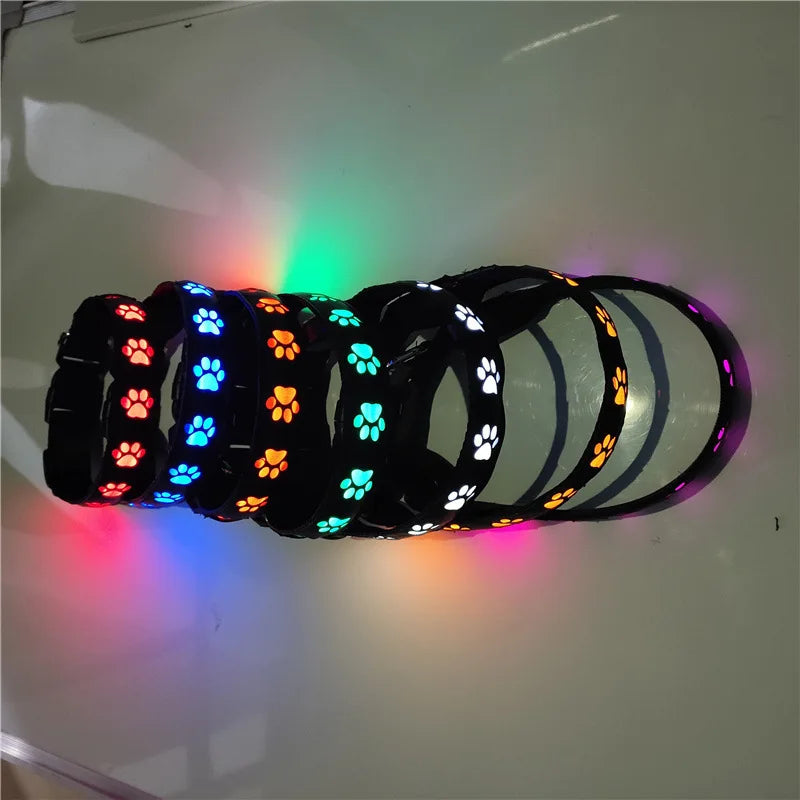Rechargeable Light-Up Dog Collar