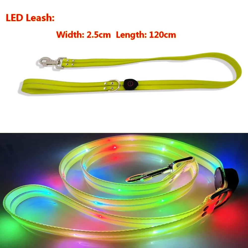 LED Light-Up Dog Leash – USB Rechargeable
