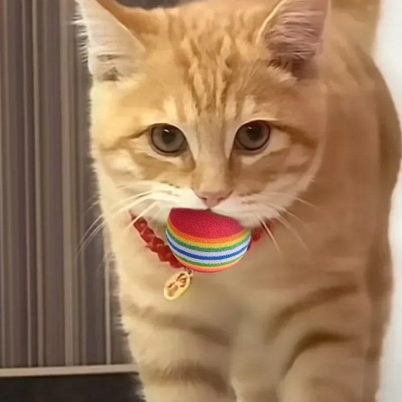 Soft Foam Play Balls for Cats – Rainbow EVA Balls, 10 to 100 Pack