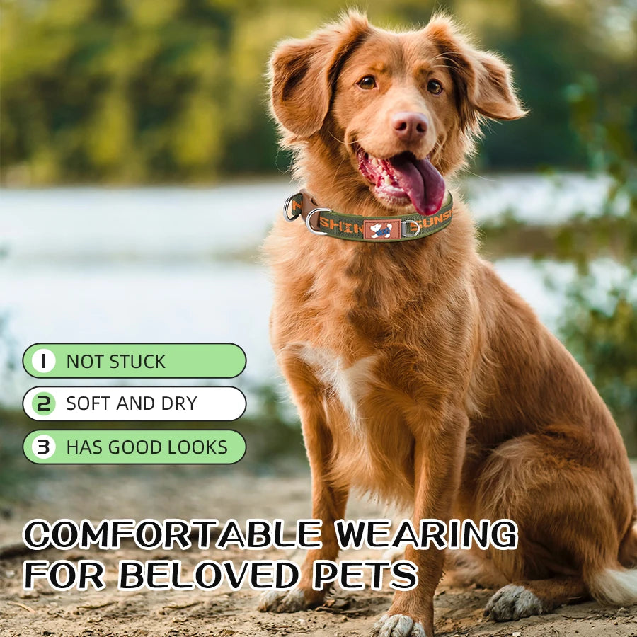 Adjustable Dog Collar with Two Metal D-Rings