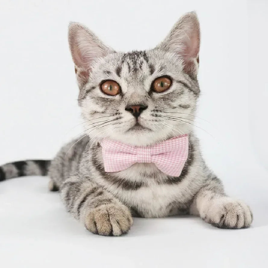 Plaid Bow Tie Cat Collar – Adjustable, 3 Colors