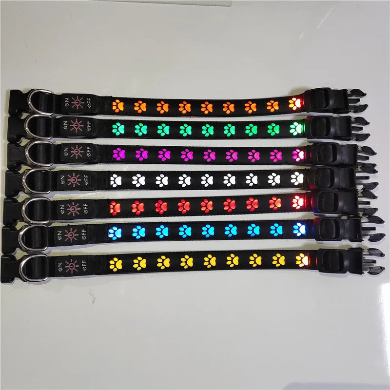 Rechargeable Light-Up Dog Collar
