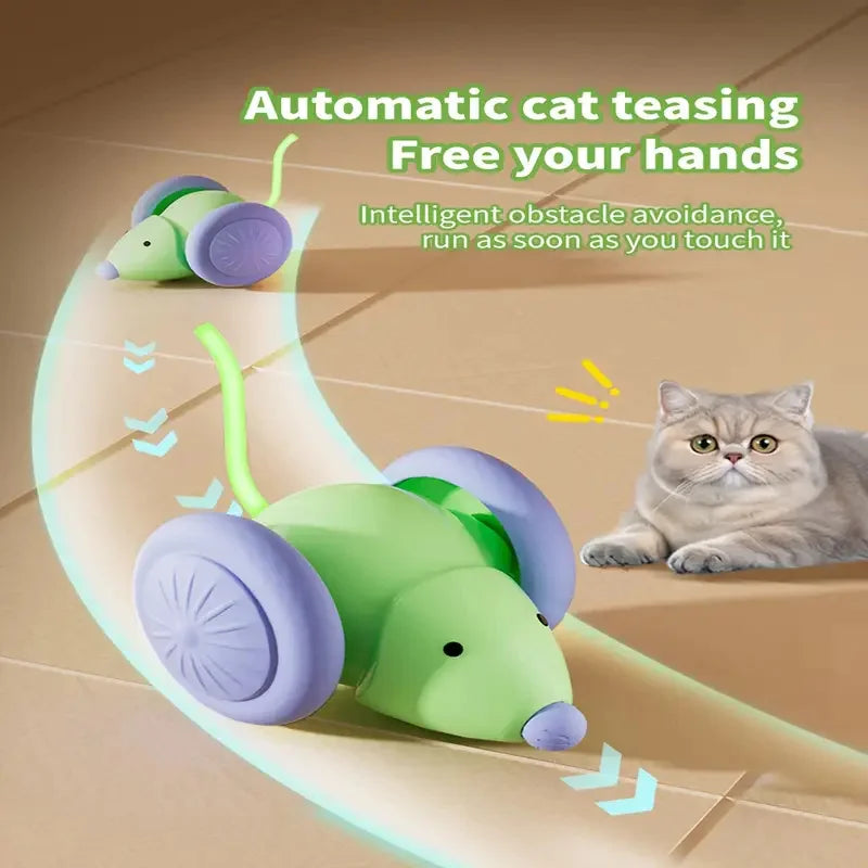Automatic Bouncing Cat Ball – Rechargeable