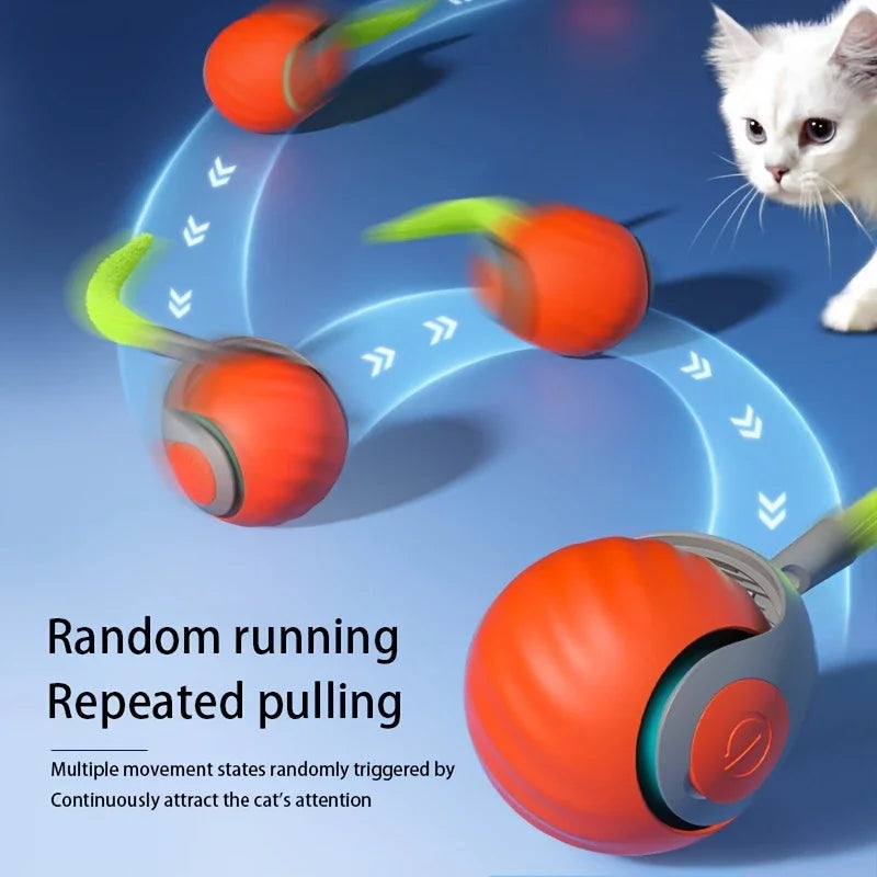 Automatic Bouncing Cat Ball – Rechargeable