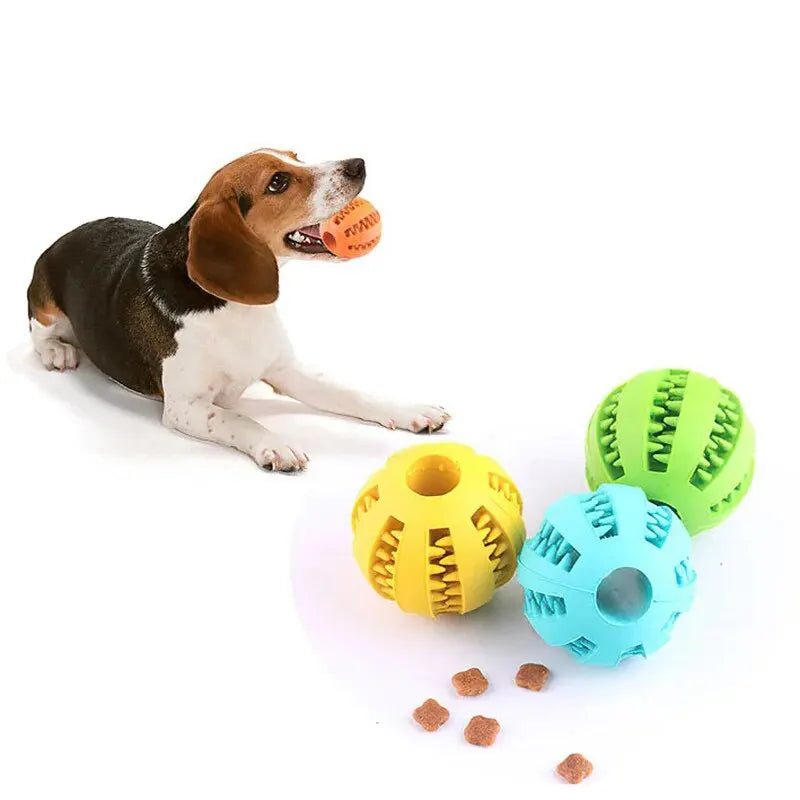 Treat Dispensing Dog Chew Ball