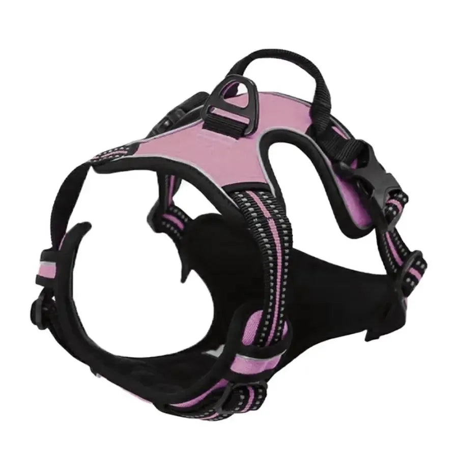Leather Collar, Harness & Leash Set