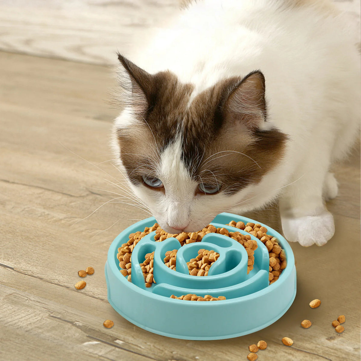 Non-Slip Slow Feeder Pet Bowl