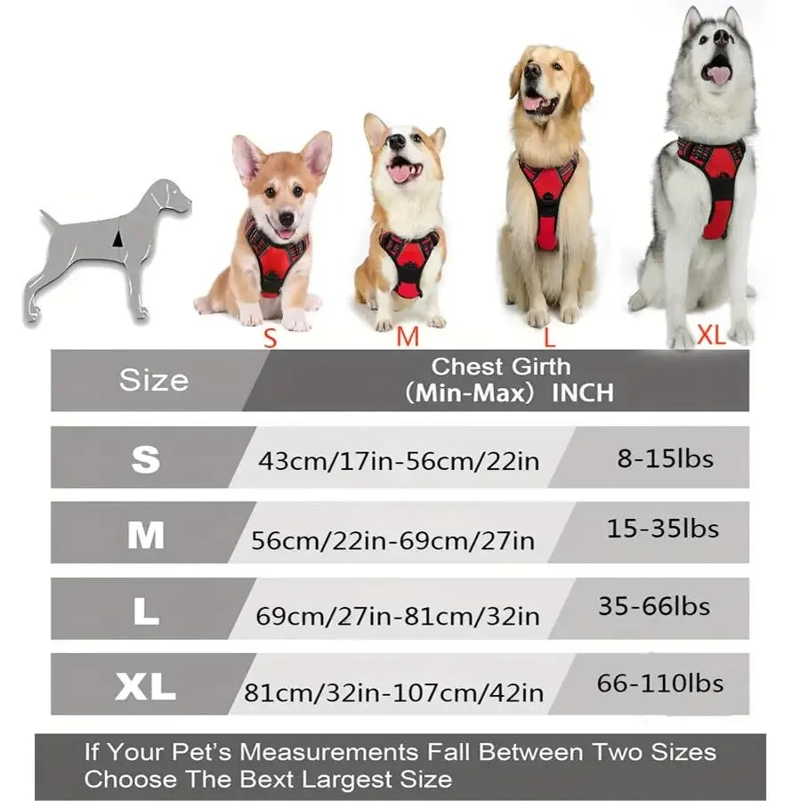 Leather Collar, Harness & Leash Set