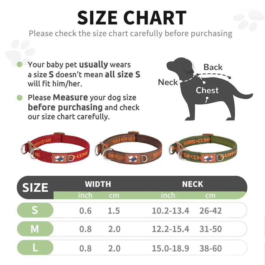 Adjustable Dog Collar with Two Metal D-Rings