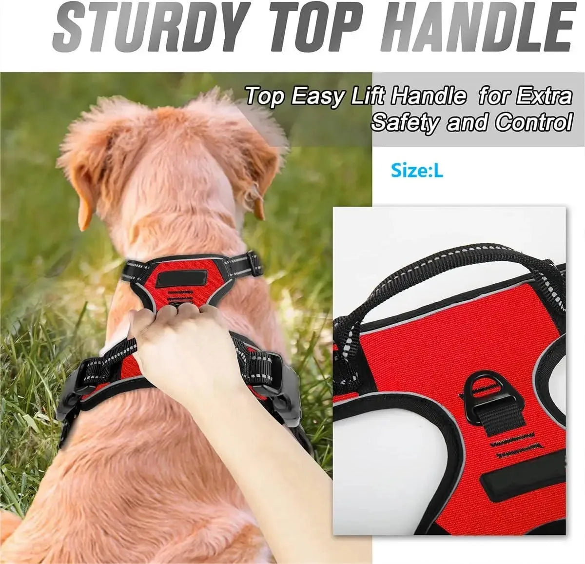 Leather Collar, Harness & Leash Set
