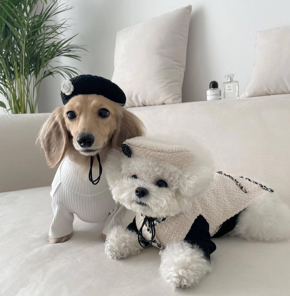 Knitted Pet Hat for Dogs & Cats – Beige or Black