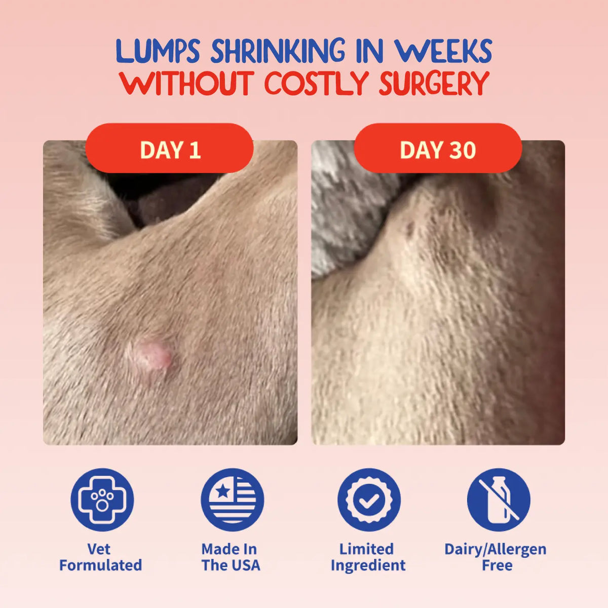 Fifth and Fido Turkey Tail-Reishi Mushrooms Dog Food Topper, Bacon Flavor, Probiotic Supplement, Universal for Dogs, Supports Immune & Gut Health, 500Mg per Scoop, Made in USA