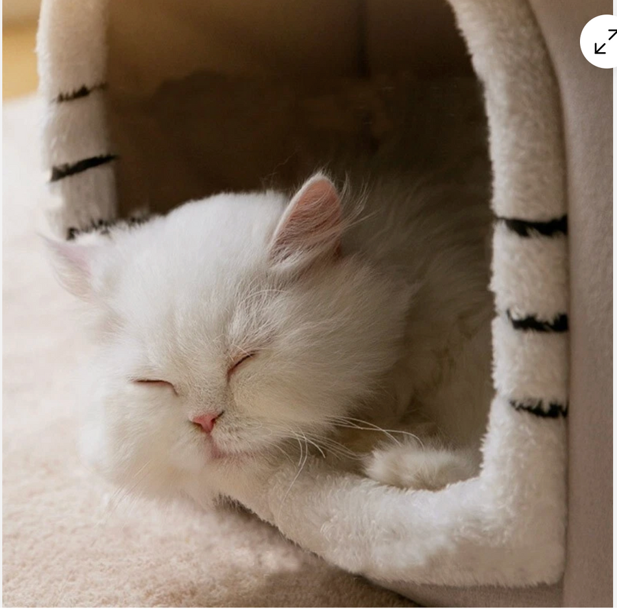 Foldable Pet House Bed