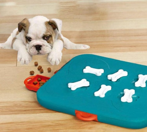 Treasure Hunt Treat Puzzle Toy for Dogs & Cats