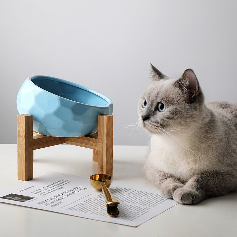 Tilted Pet Food Bowl – Slanted Design, Blue, White or Pink