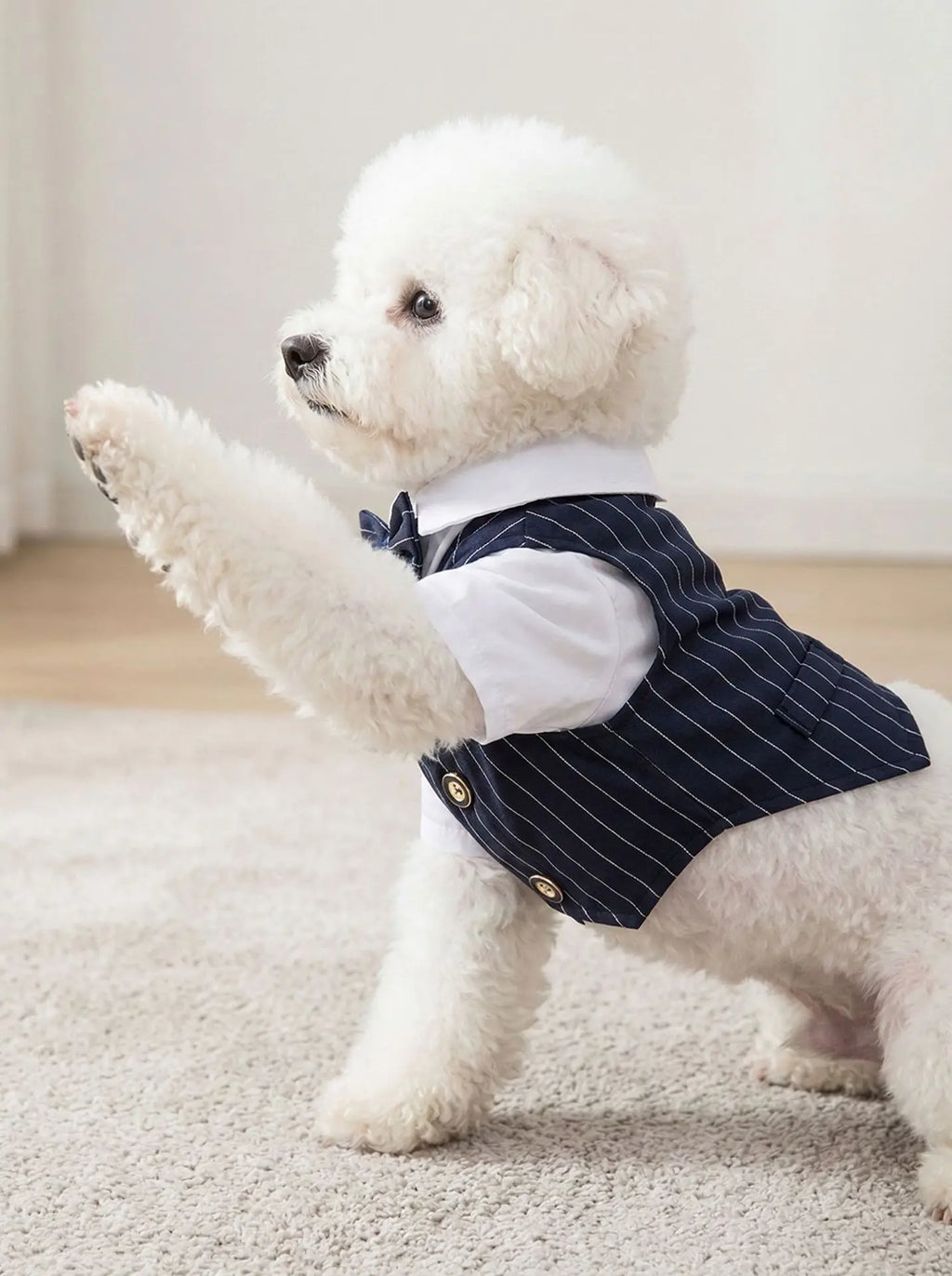 Pet Dog Teddy Small Dog Cat Spring and Summer Dog Clothes Thin Suit Shirt Suit Wedding Dress