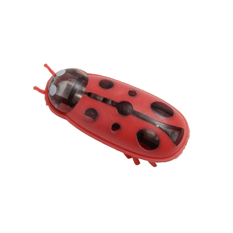 Electric Bug Cat Toy