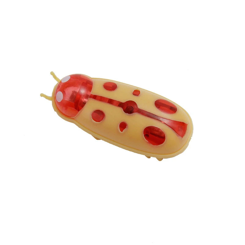 Electric Bug Cat Toy