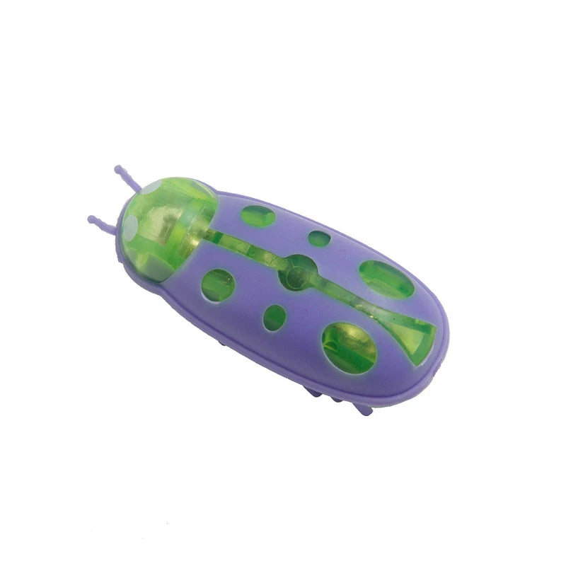 Electric Bug Cat Toy