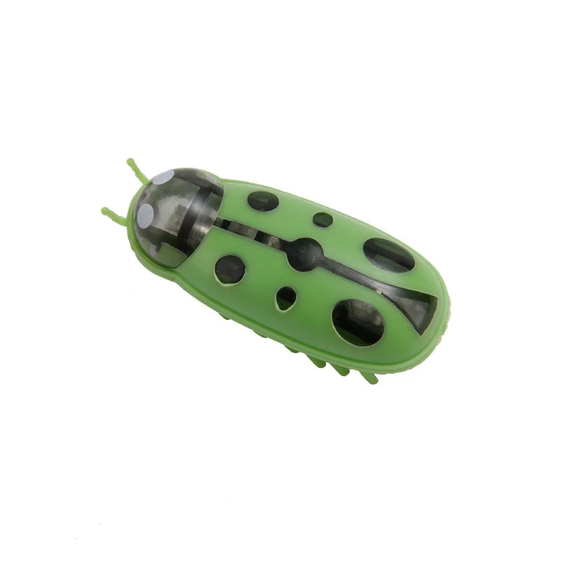 Electric Bug Cat Toy