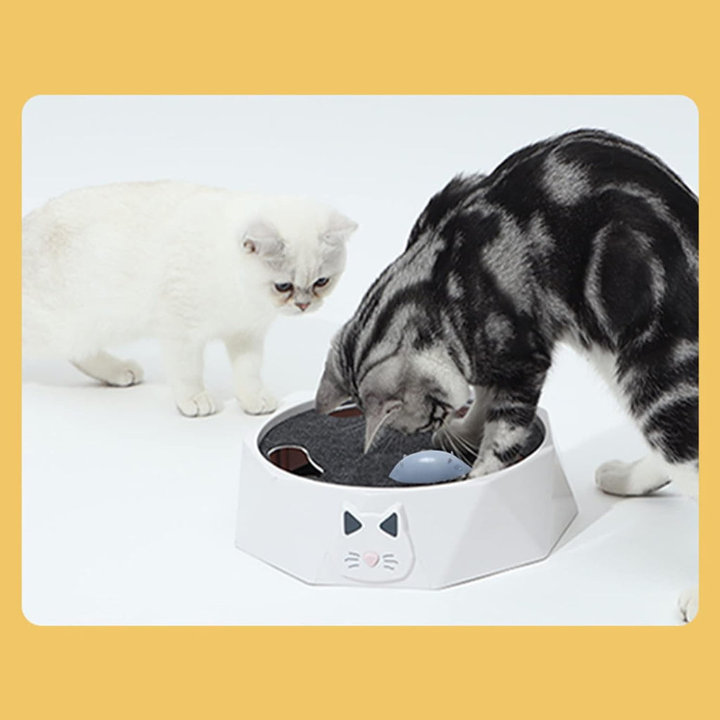 Interactive Cat Turntable Toy, Electric Cat Toys 2 Speed Adjustable Automatic Puzzle Catch Mouse Play Cat Toy for Pet Supplies