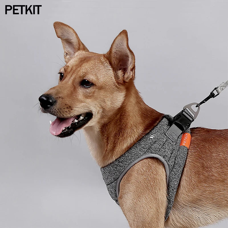 Padded Breathable Dog Harness Vest