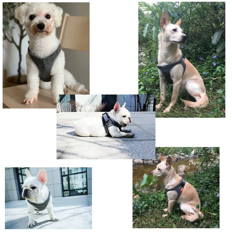 Padded Breathable Dog Harness Vest