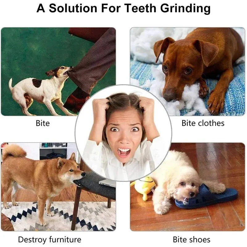 Treat Dispensing Dog Chew Ball