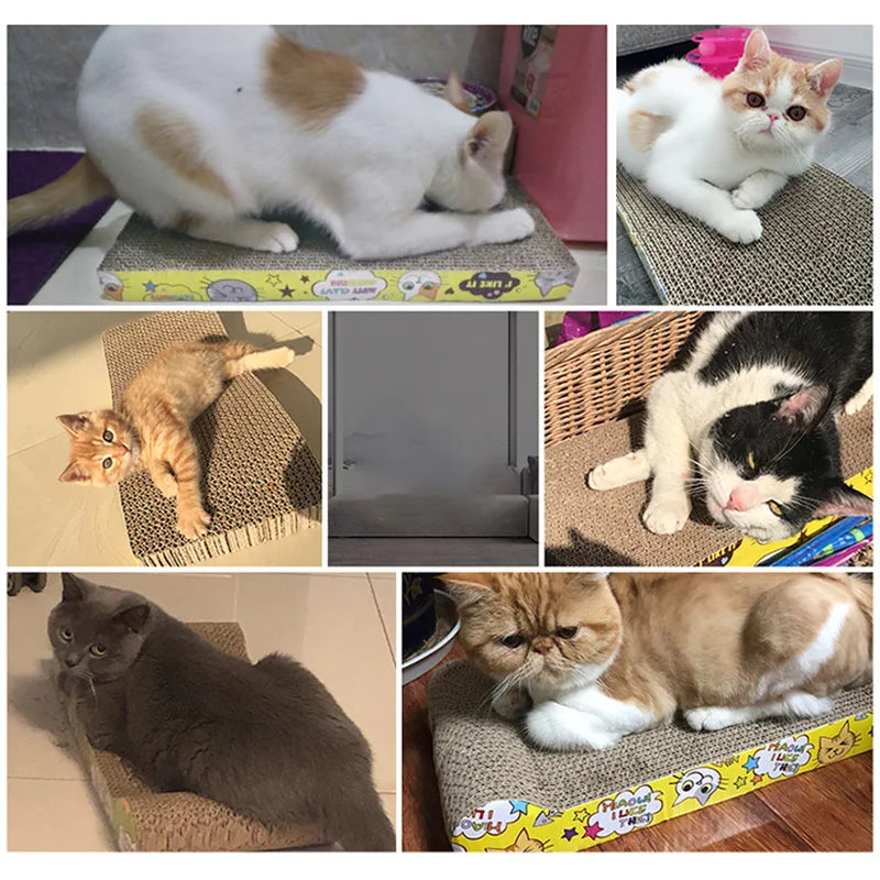 Cardboard Cat Scratcher Lounge