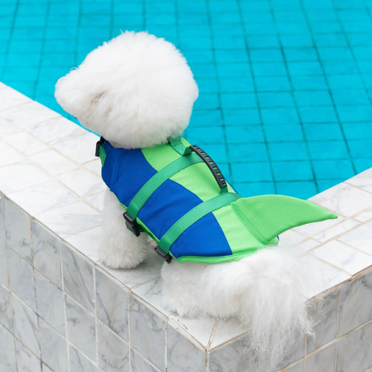 Dog Life Jacket – Swimming Safety Vest