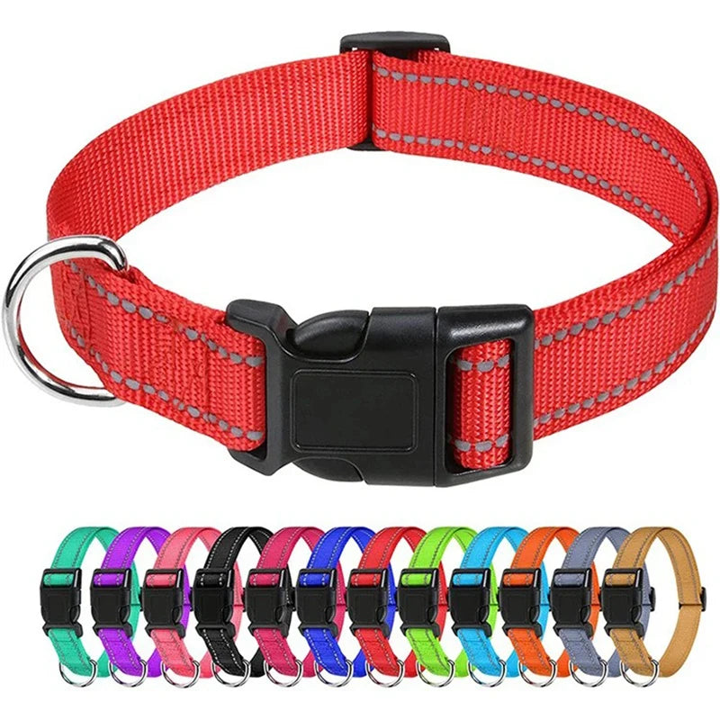 Adjustable Nylon Dog Collar for Small & Medium Dogs