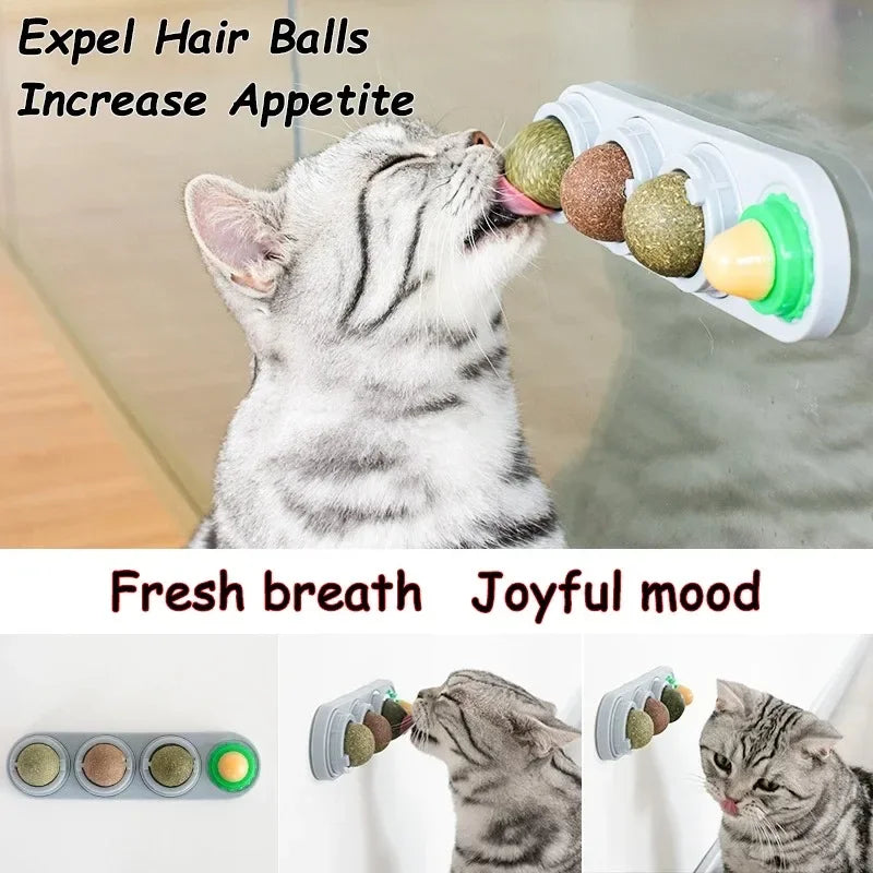 4-in-1 Silver Vine Catnip Wall Ball