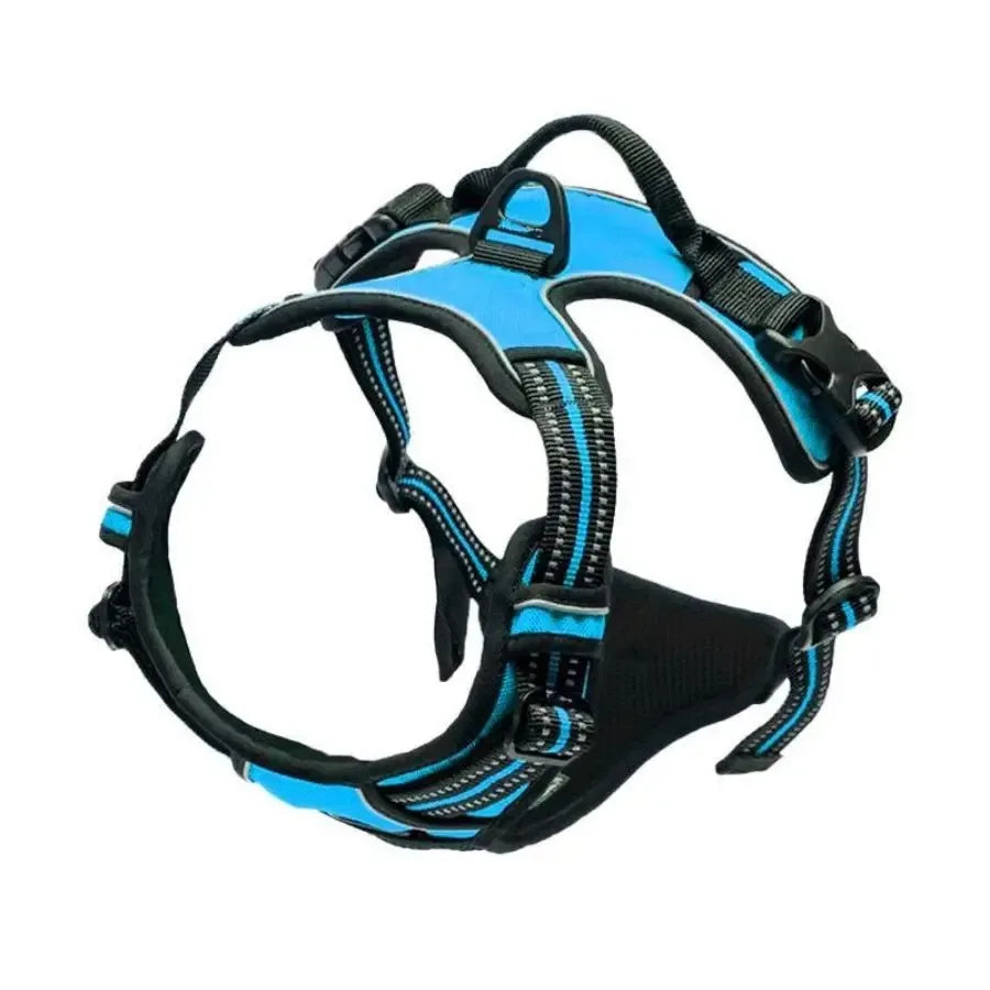 Leather Collar, Harness & Leash Set