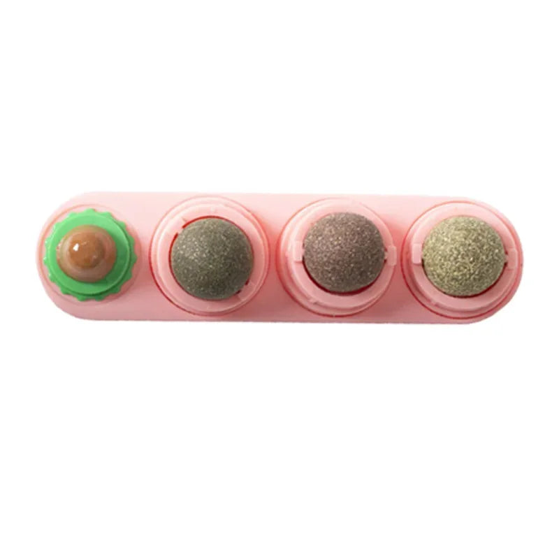 4-in-1 Silver Vine Catnip Wall Ball
