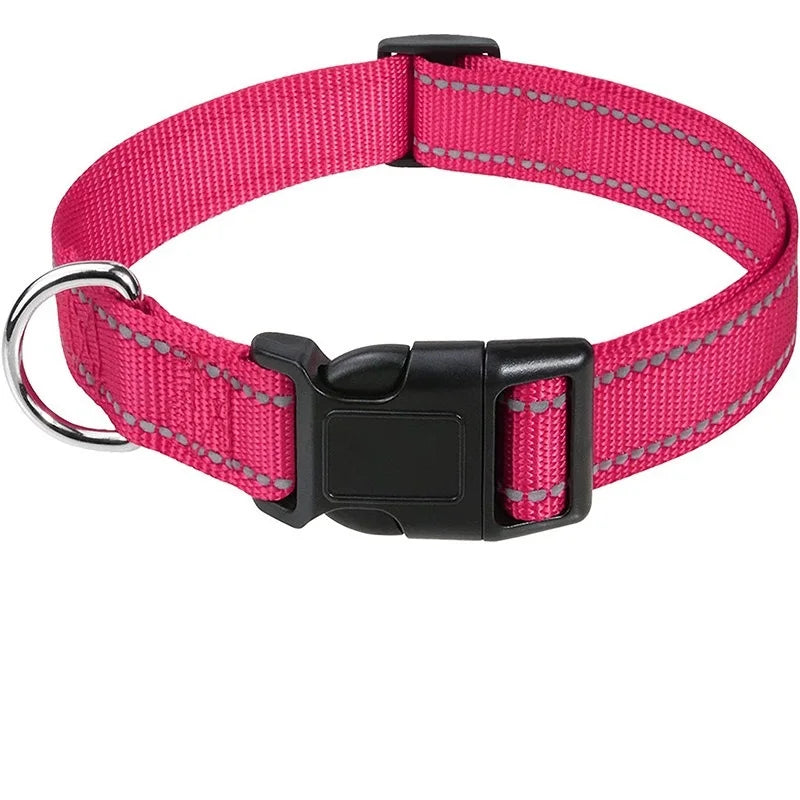 Adjustable Nylon Dog Collar for Small & Medium Dogs