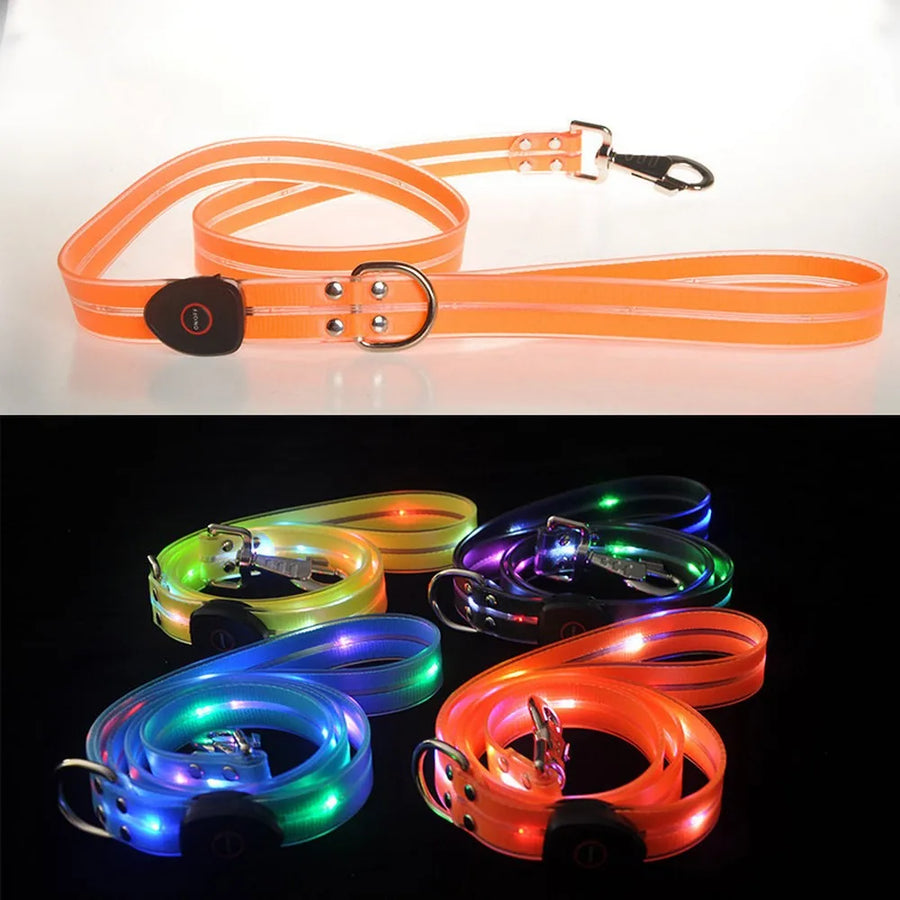 LED Light-Up Dog Leash – USB Rechargeable